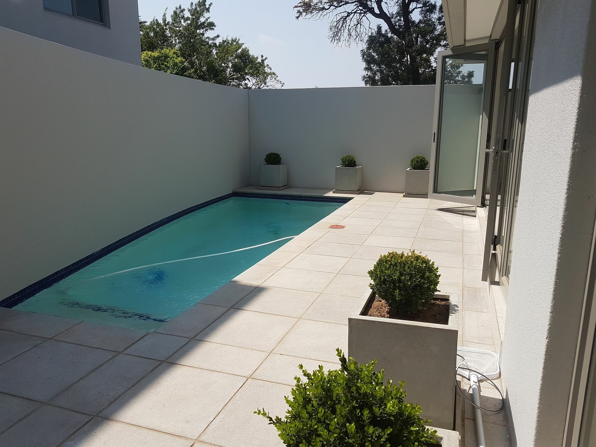 Daisy Place Johannesburg Exterior photo
